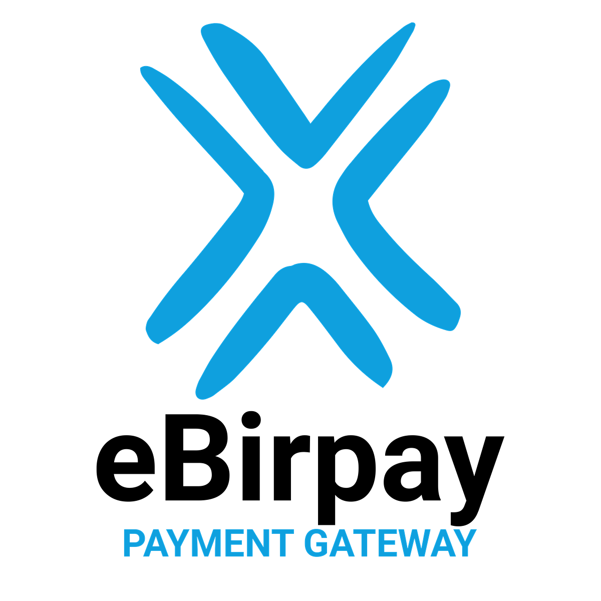 Matrix Resources Limited - Ebirpay